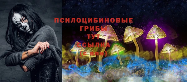 хмурый Осинники