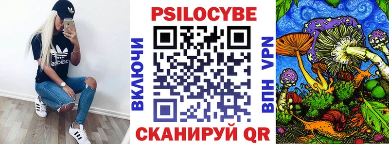 Купить  Яхрома  Галлюциногенные грибы Psilocybine cubensis 